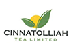 Cinnatolliah - Softweb Technologies