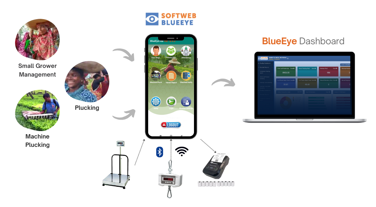 How Blueeye works! - Softweb