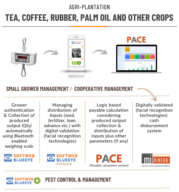 Agro Plantation industry solution- How farm management solution is helping agro plantation industry