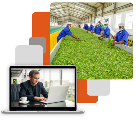 ERP Solution for Tea Packaging & Blenders - PACE360