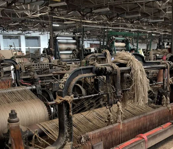 pace-jute-factory