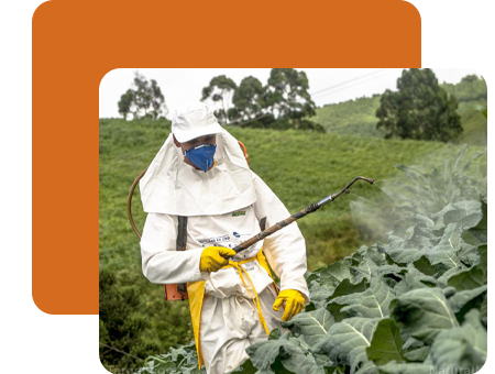 Softweb Technologies - Pest Management - Tea Garden
