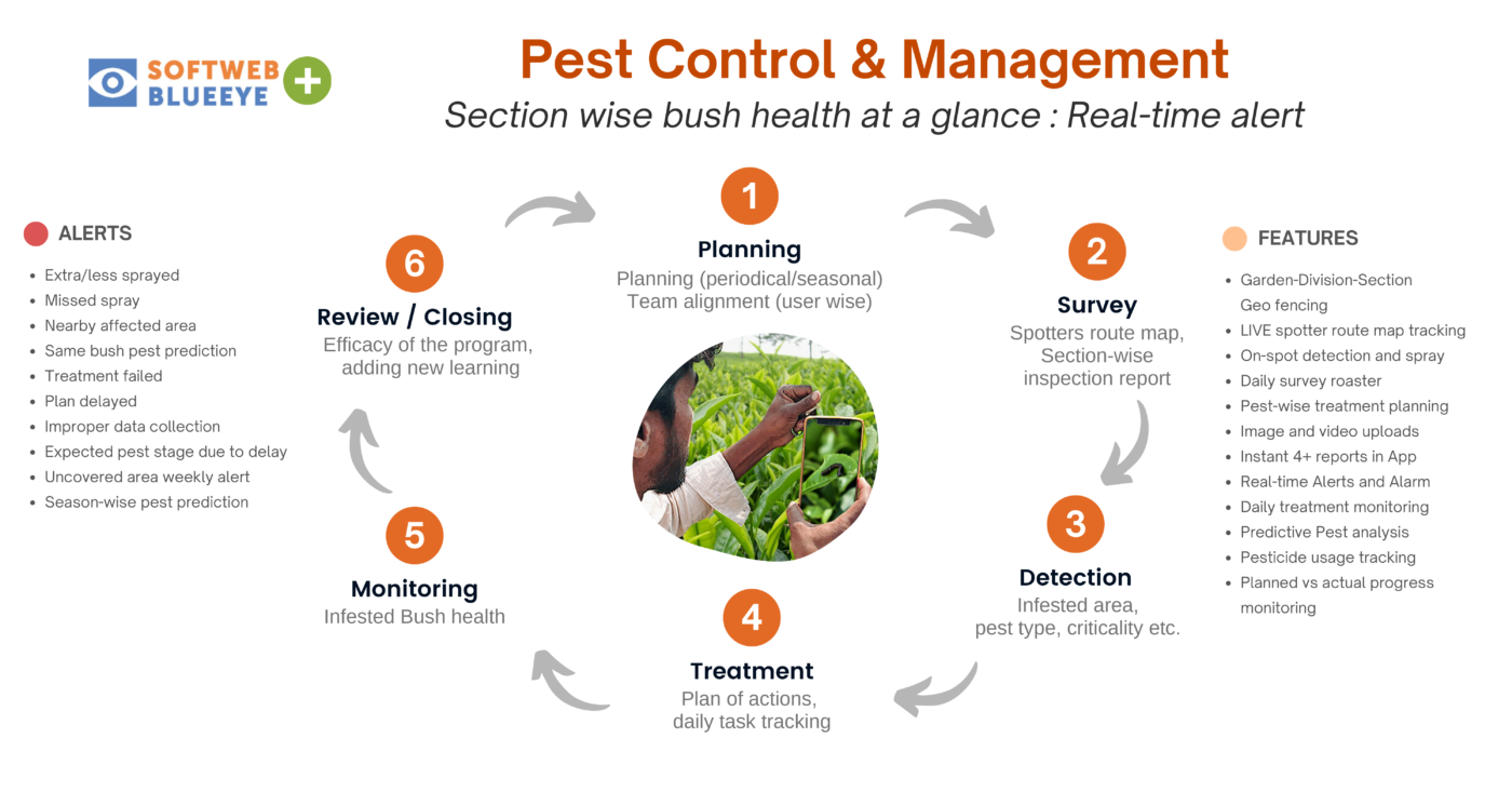 Blueeye-&-Pest-Management