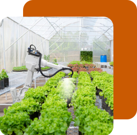 Crop Monitoring and Cultivation Tracking- softweb technologies
