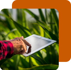 a person with tab in fields