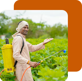 pest-management-softweb technologies