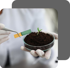 Soil quality softweb technologies