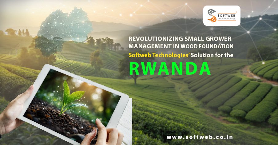 Revolutionizing-Small-Grower-Management-in-RWANDA-Wood-Foundation