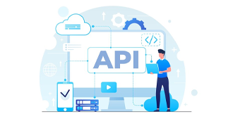 Vector representing API