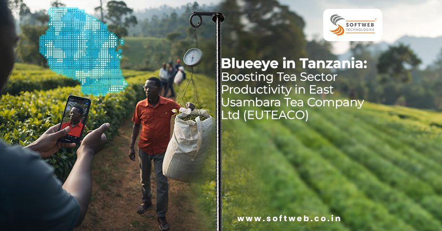 Plantation Management in Tanzania with Blueeye