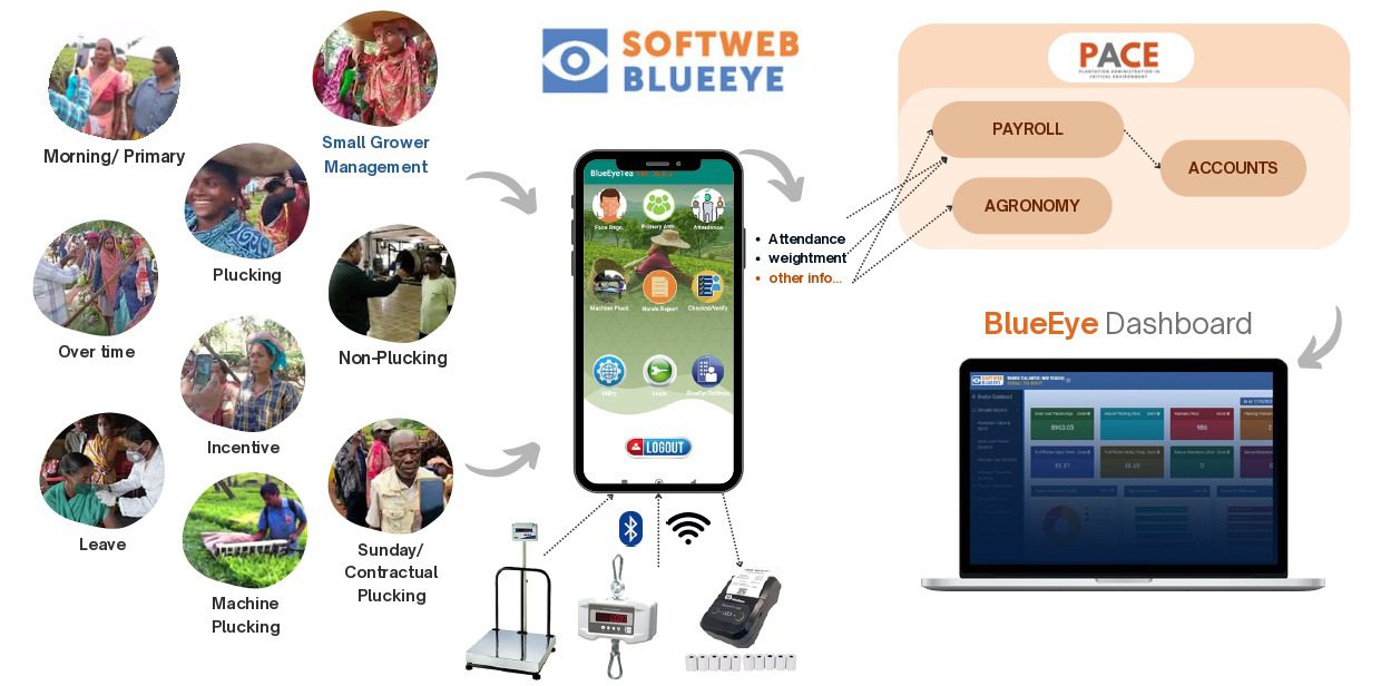 Complete Software Solution for Tea, Coffee, Rubber, Palm Oil. Blueye Attendance & Productivity Management for Plantation workers with PACE ERP for Agri Plantation industries including Tea, Coffee, Rubber, Palm Oil and more.