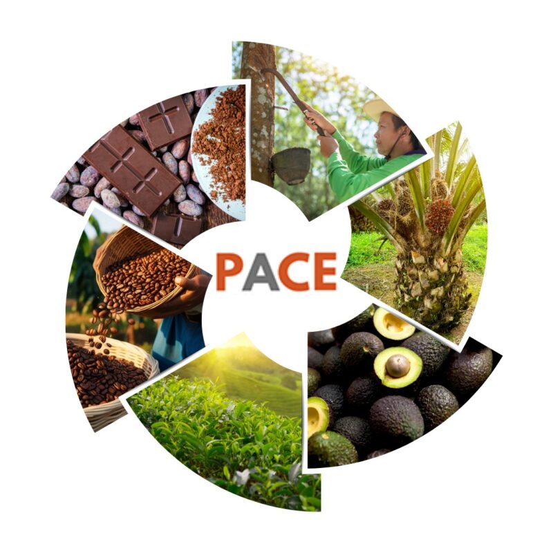PACE - ERP Solution for Agro Plantation Industries - Tea, Coffee, Rubber, Palm Oil, Avocado and more