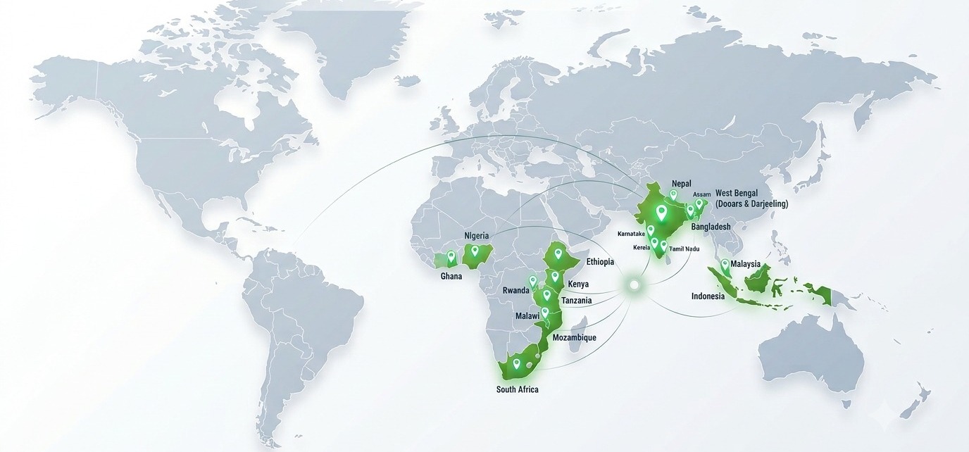 Blueeye: World Map view highlighting countries where Blueeye is running successfully